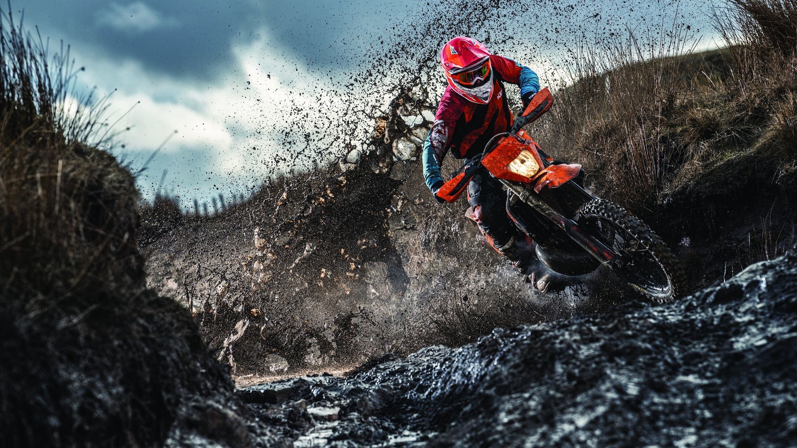 中国跳水队2026年继续保持“梦之队”统治地位 新人闪亮登场